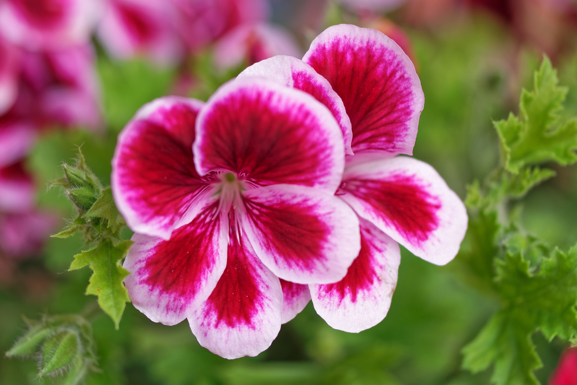 How to Stop No See Ums from Biting You (Ultimate Guide for 2021)